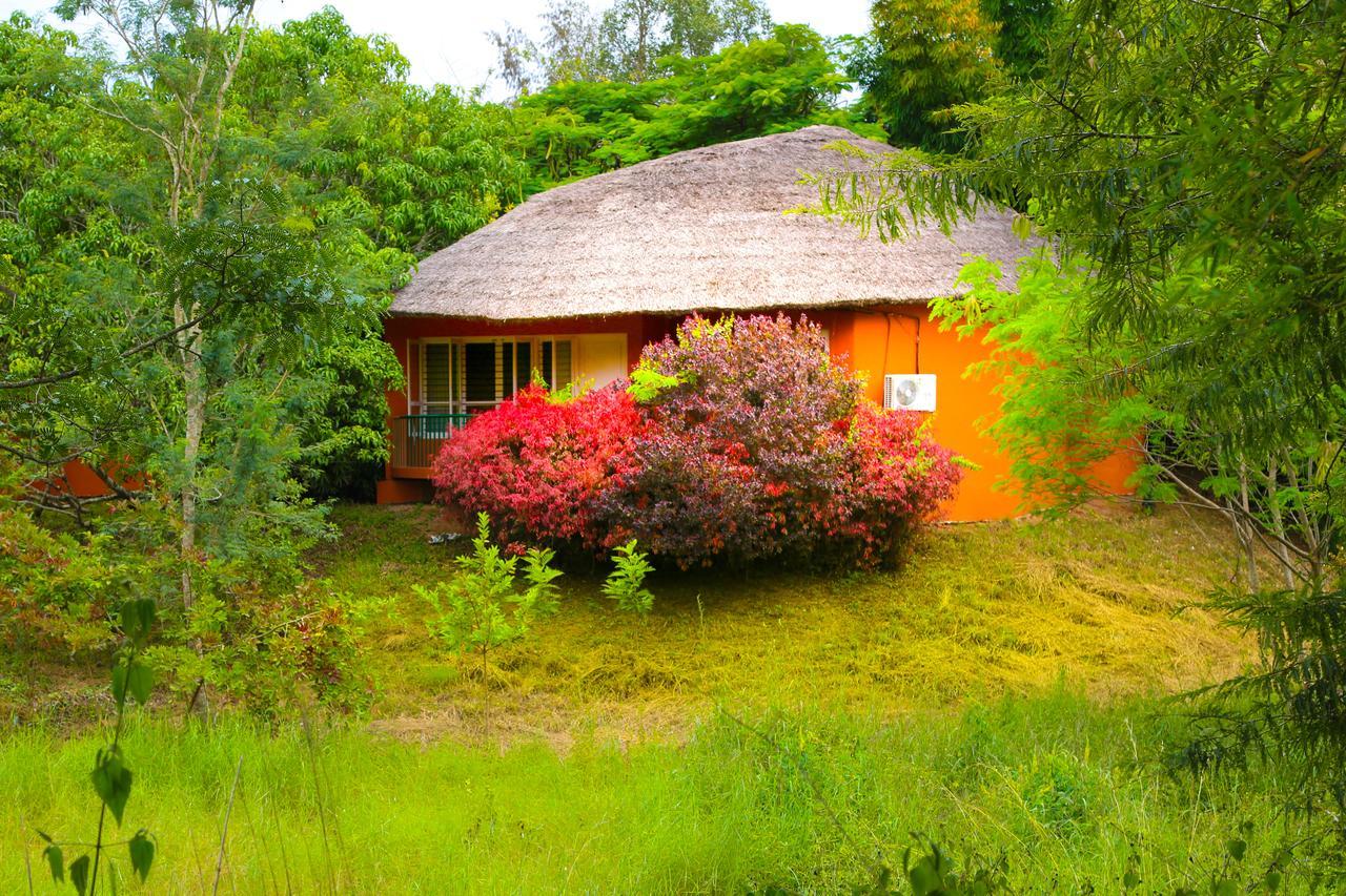 Kings Sanctuary Nagarhole & Kabini Hunsur Exteriör bild